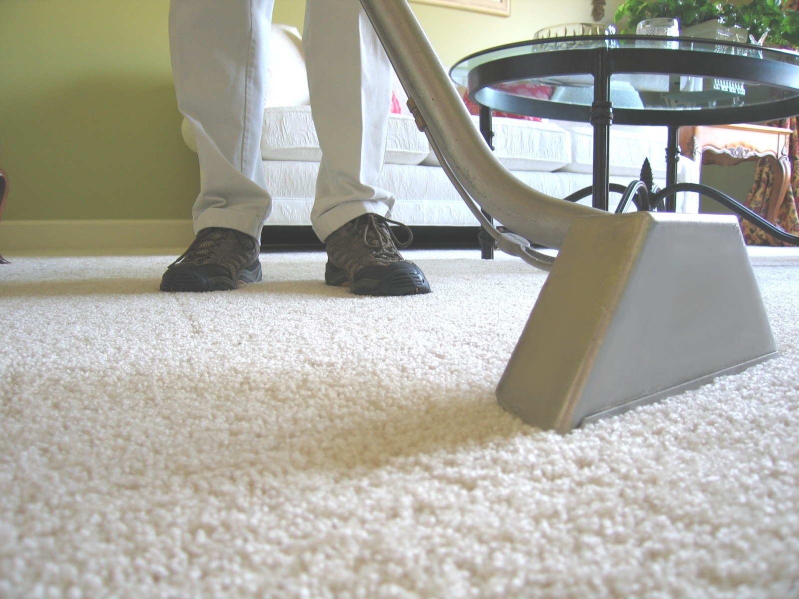 Green Carpet Cleaning Carpets Upholstery Cleaning In Michigan