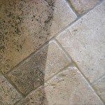 Tile and Grout Cleaning in state of Michigan