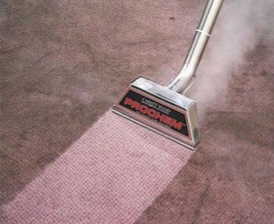 Canton Steam Carpet Cleaning