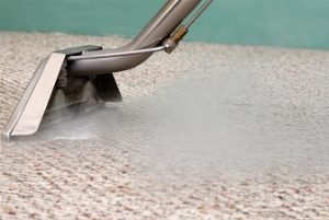 Elite Carpet Steam Cleaning