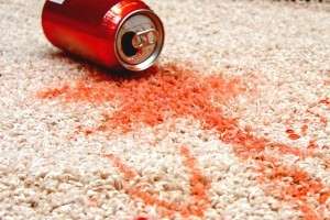 Berkley Carpet Cleaning