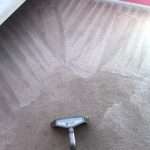 Cleaning Services-Carpet Steam Cleaning