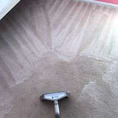 Westland Carpet Cleaning