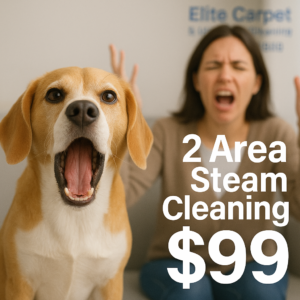 Homeowner reacting to a pet accident on carpet.