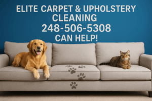 Five-seat fabric sectional with visible dog paw prints on the middle cushion, a golden retriever and tabby cat resting on each end. Blue wall in background displays “Elite Carpet & Upholstery Cleaning 248-506-5308 Can Help!” — promoting expert pet stain and furniture cleaning in Michigan.