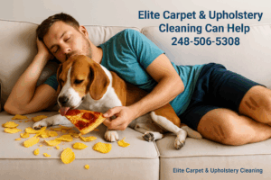 Food spill and stains on a white sofa—Elite Carpet & Upholstery Cleaning in Michigan can restore carpets and furniture with deep steam cleaning.