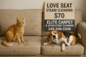 Loveseat steam cleaning special sign showing $70 price and Elite Carpet & Upholstery Cleaning phone number, with a cat and dog on a beige loveseat.