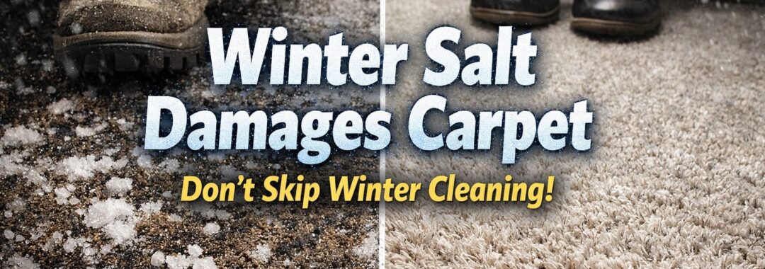 Winter salt damage on a carpet showing salt stains and grit in the fibers, with Elite Carpet & Upholstery Cleaning contact information in the background